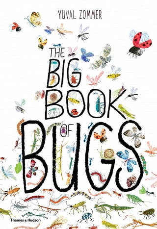 Cover art of the book The Big Book of Bugs