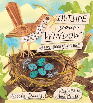 Cover art of the book Outside Your Window: A First Book of Nature