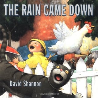 Cover art of the book The Rain Came Down