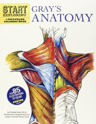Cover art of the book  Start Exploring: Gray's Anatomy: A Fact-Filled Coloring Book