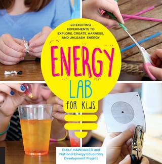 Cover art of the book Energy Lab for Kids
