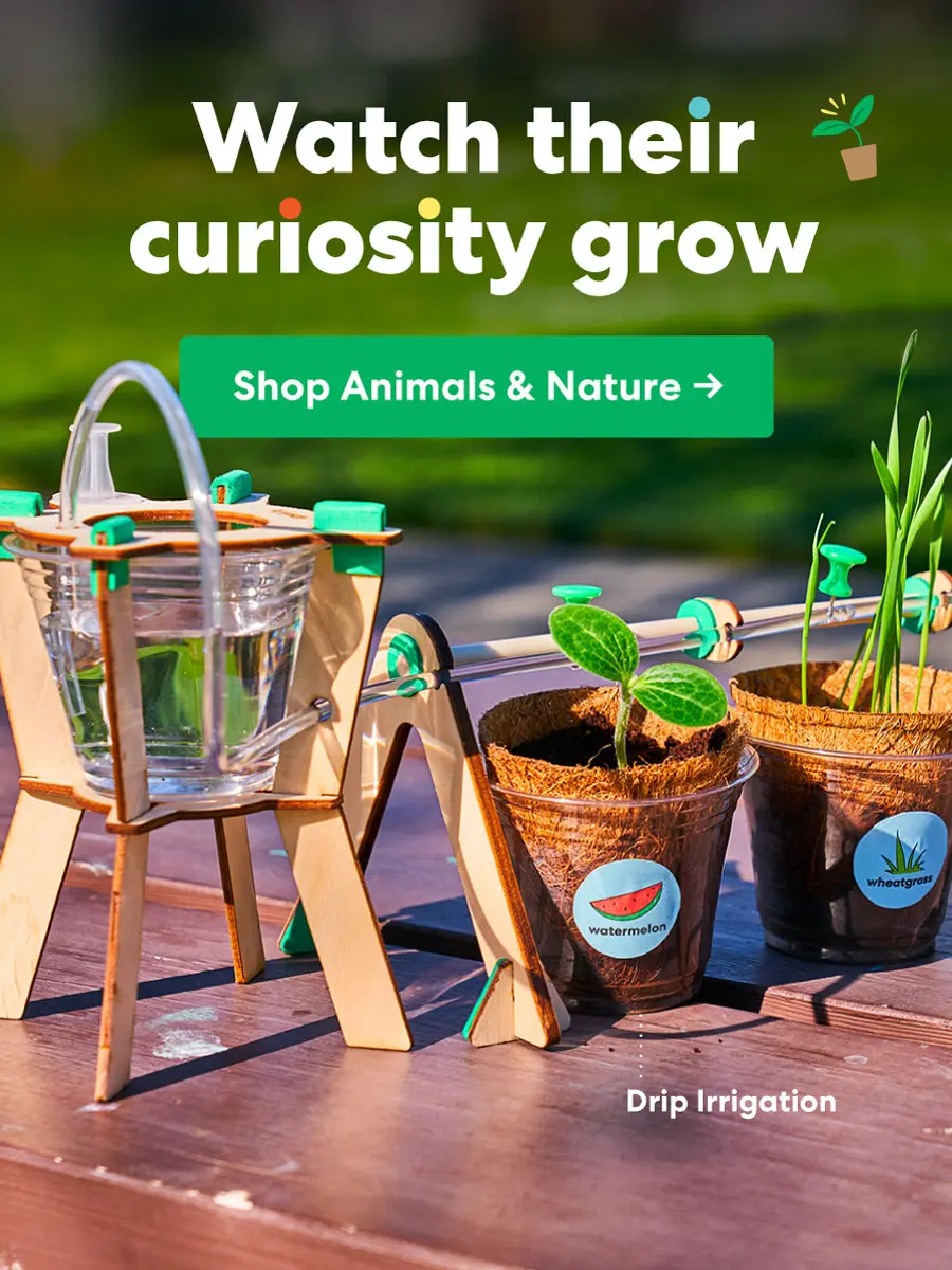 KiwiCo Early Spring Products