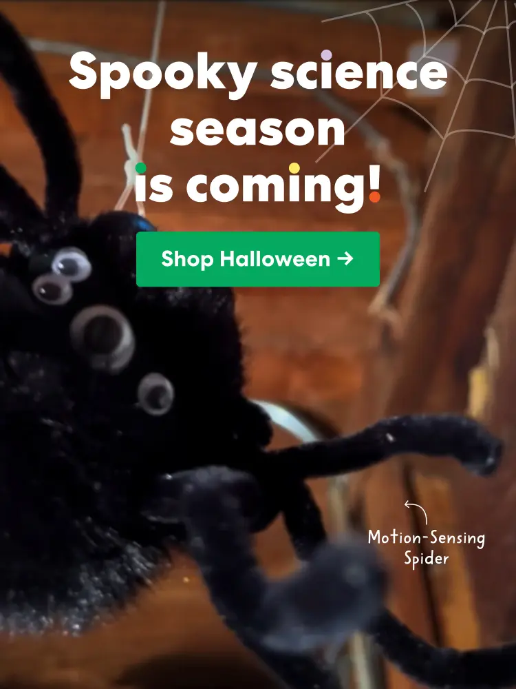 Shop KiwiCo Halloween