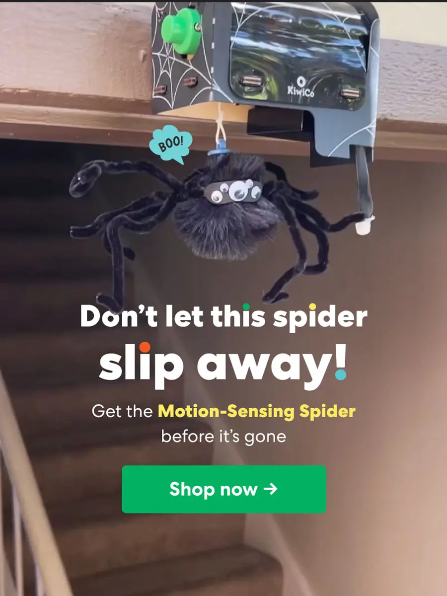 Don't let this spider slip away