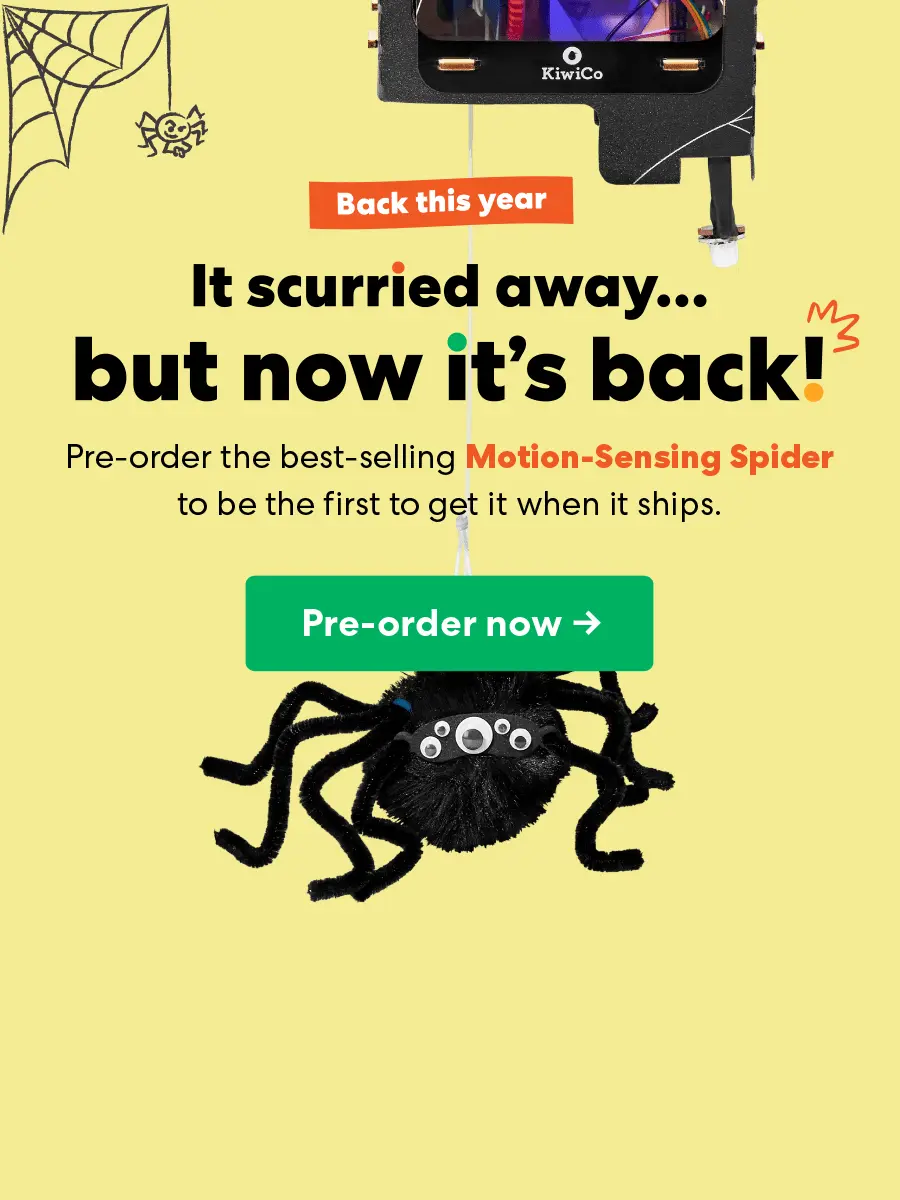 Motion Sensing Spider Preorder