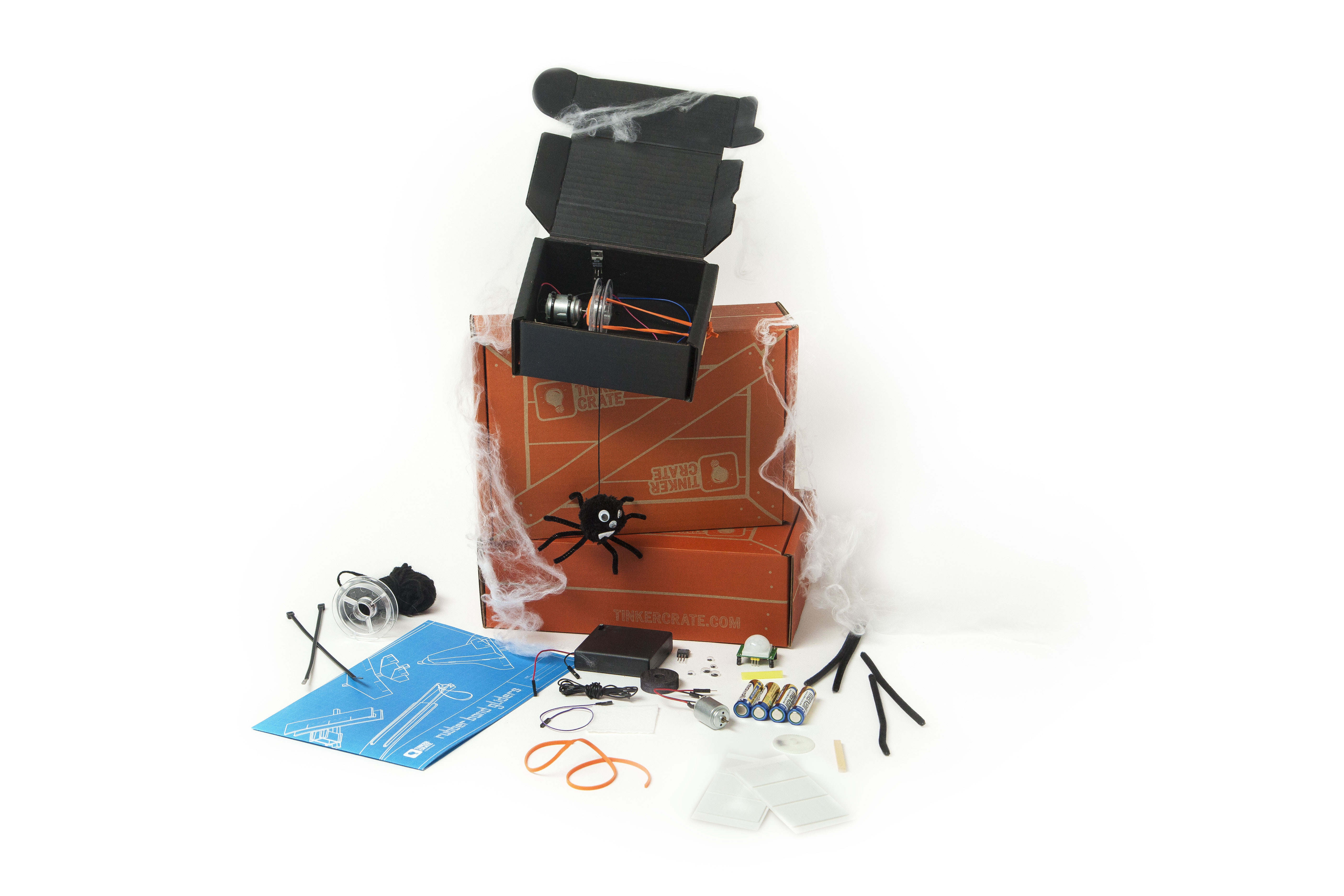 Motion Sensing Spider | KiwiCo