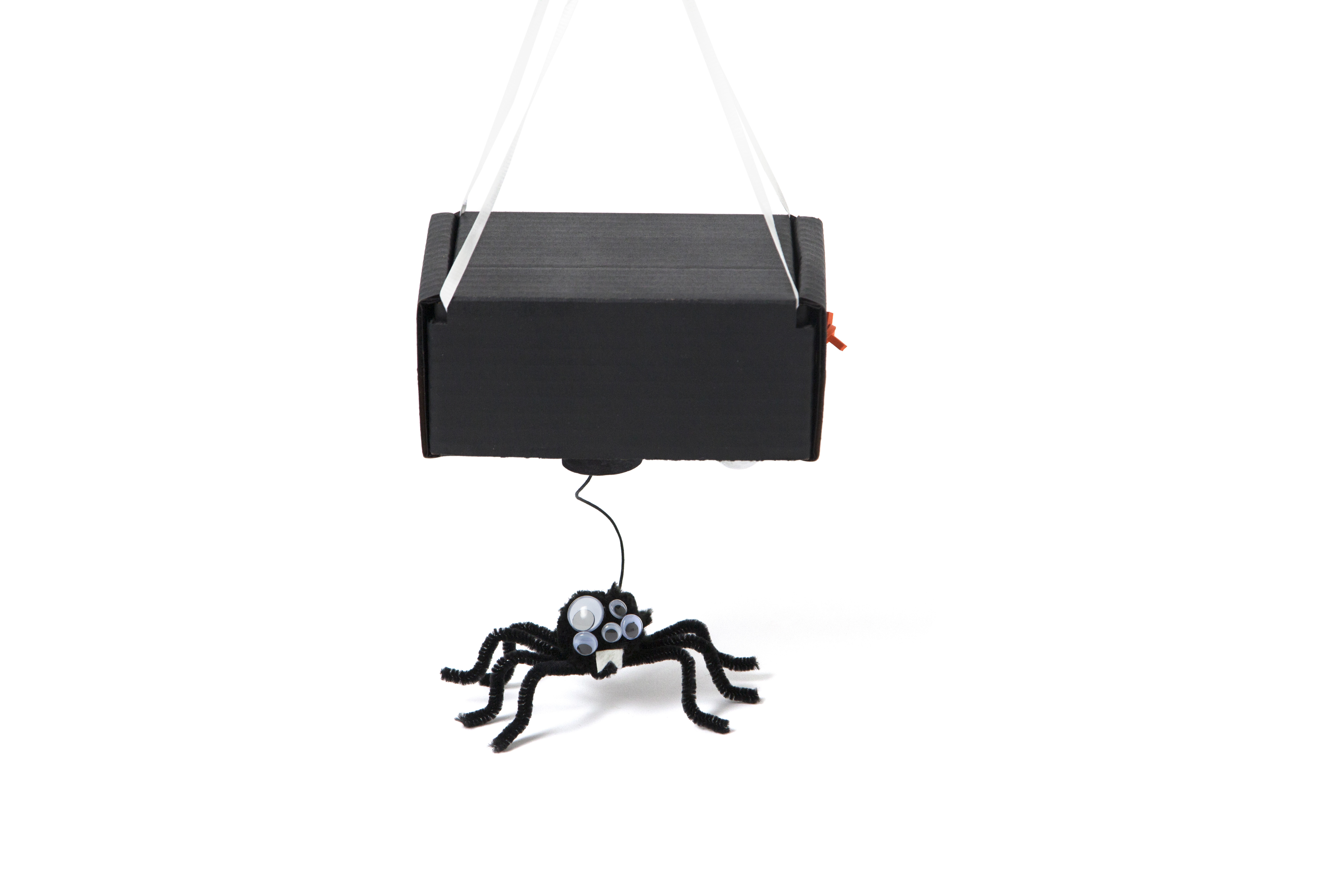 Motion Sensing Spider | KiwiCo
