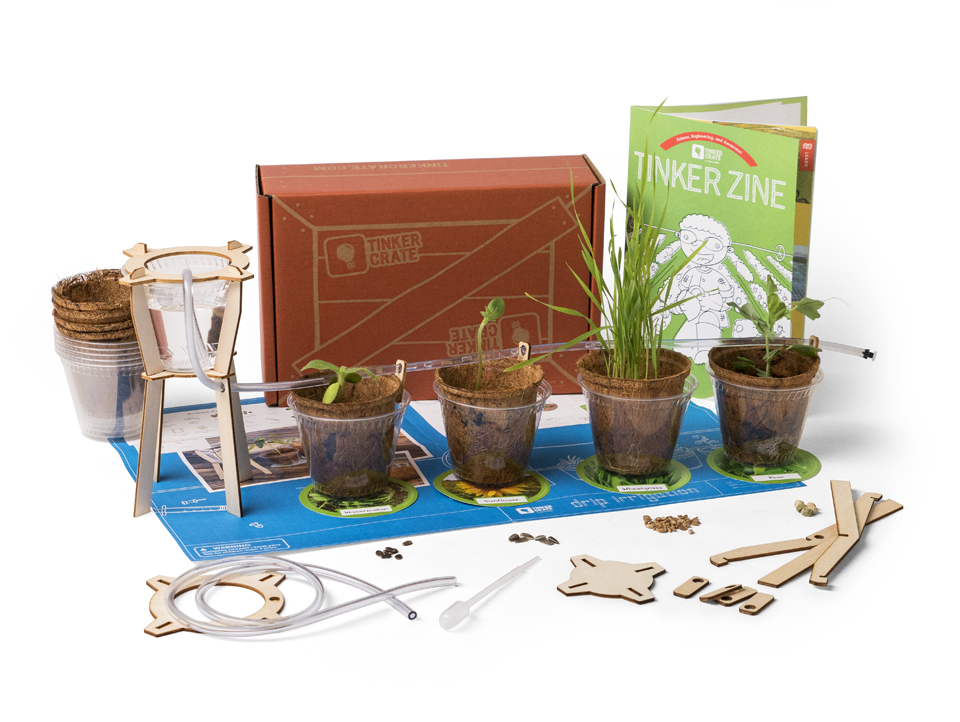 ITK.plant's様 種子セット ITK.plant's様 種子セット Amazon.com : TickleMe Plant Deluxe Family