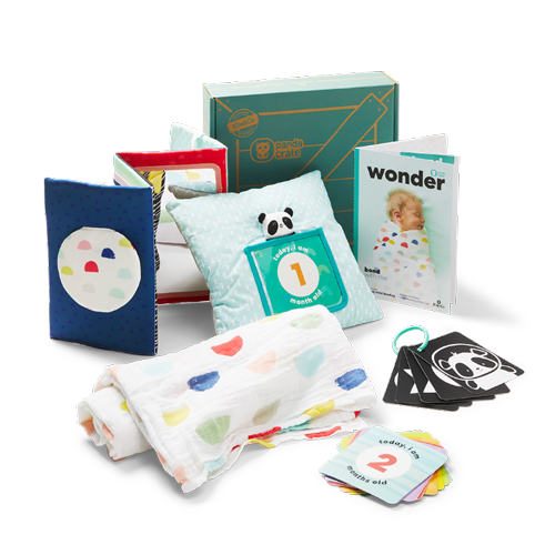 Panda Crate Bond with Me Project Kit