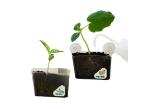 Window Garden | KiwiCo