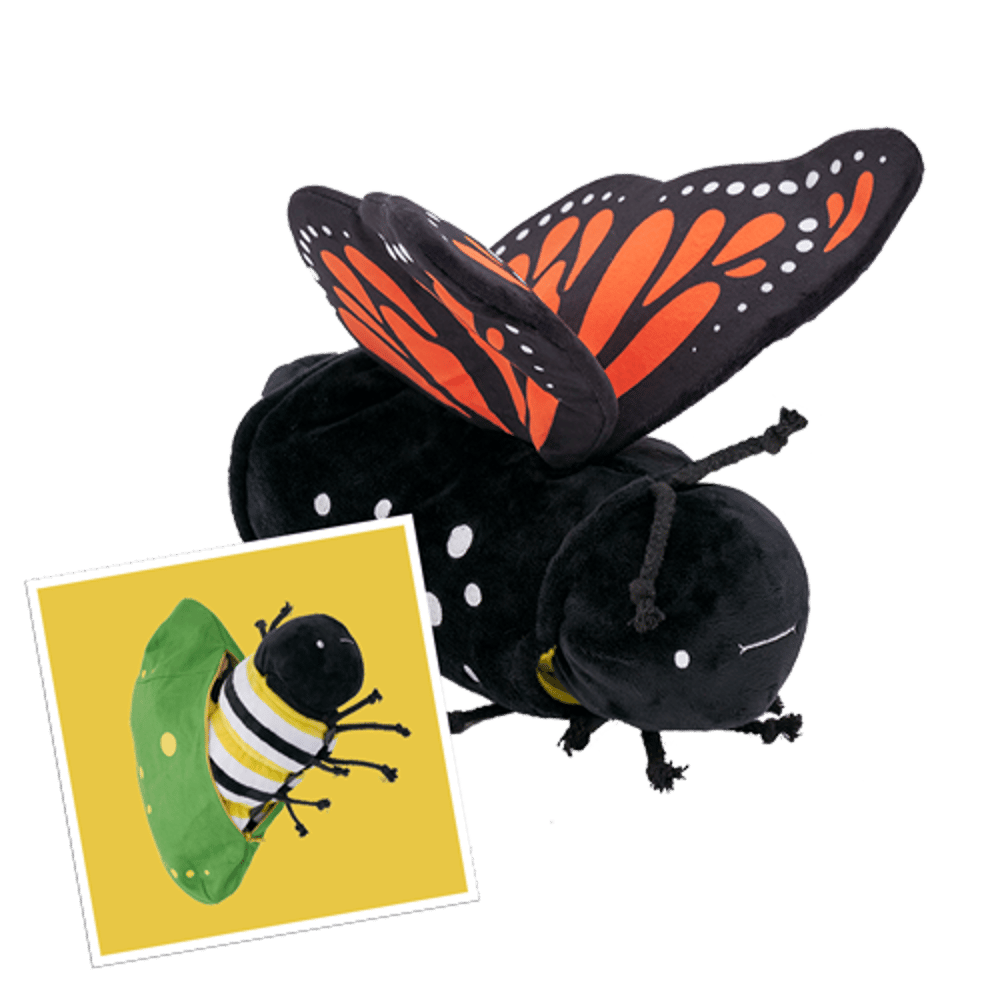 USE　Butterfly　Metamorphosing　DO　NOT　Book　Set　KiwiCo
