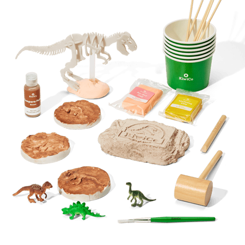 Paleontologist Starter Kit image