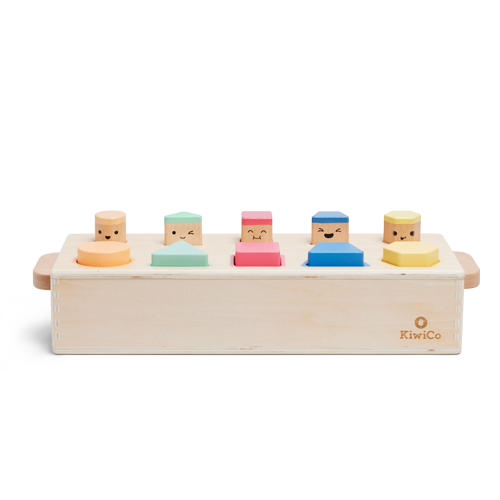 Panda Crate Pop-Up Shape Sorter Puzzle Project Kit