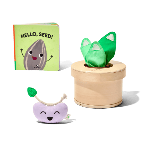 Growing Seeds Tissue Box Toy image
