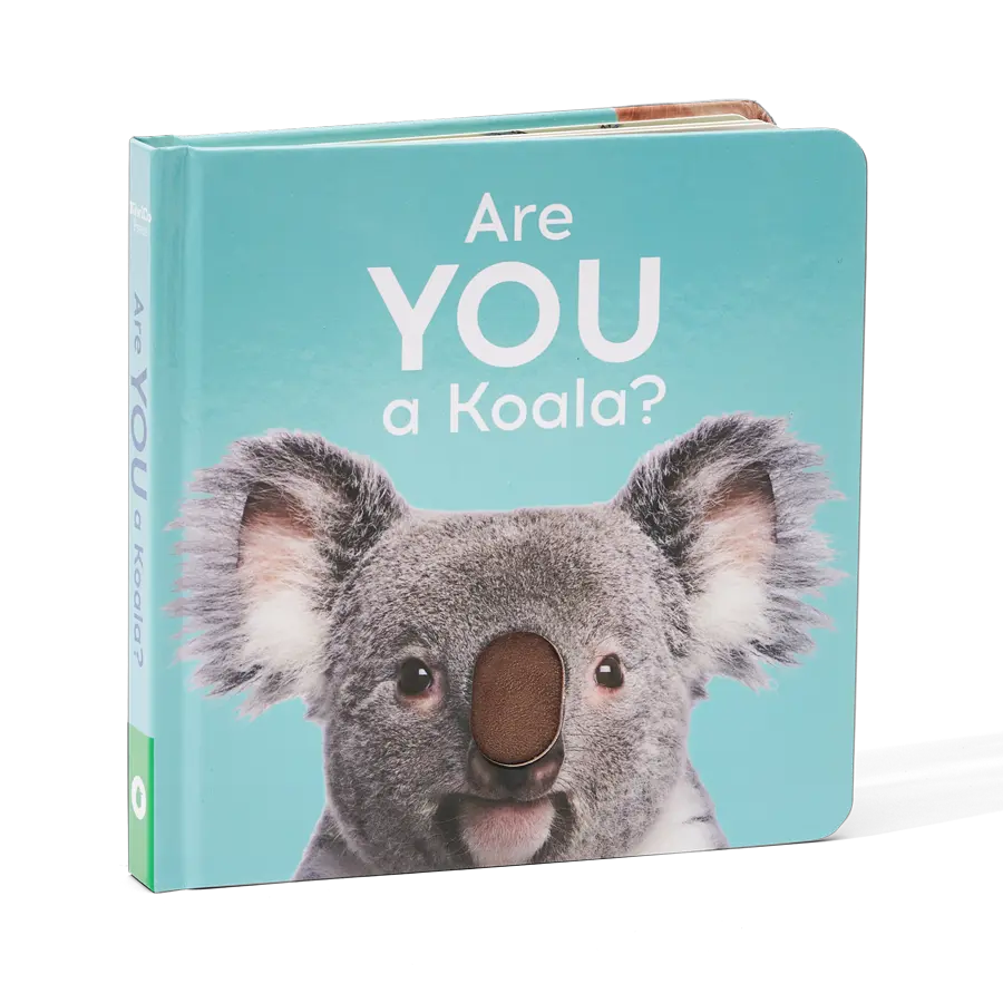 Are You A Koala? image