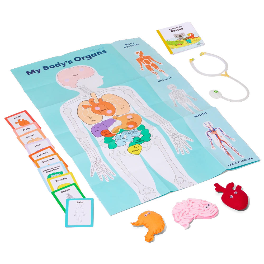 My Body and Me | KiwiCo